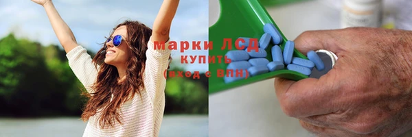 винт Новодвинск